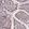 Anti-ZBTB7A Antibody