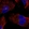 Anti-CDK5RAP2 Antibody