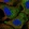 Anti-STIL Antibody