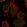 Anti-DYNLT1 Antibody