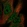 Anti-MED17 Antibody