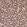Anti-PRR7 Antibody