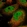 Anti-ZNF776 Antibody
