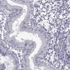 Immunohistochemical staining of human endometrium shows low expression as expected.