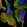 Anti-DXO Antibody