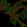 Anti-LRRN3 Antibody