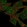Anti-LRRN3 Antibody