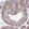 Anti-CLK3 Antibody
