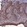 Anti-CLK3 Antibody