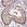 Anti-PRPF6 Antibody