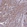 Anti-EHD2 Antibody
