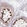 Anti-CABYR Antibody