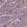 Anti-COLGALT1 Antibody
