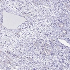 Immunohistochemical staining of human ovary shows low expression as expected.