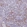 Anti-NCF1 Antibody