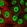 Anti-TOB1 Antibody