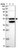 Anti-CCDC149 Antibody