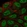 Anti-MUM1 Antibody