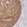 Anti-WDR93 Antibody