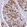 Anti-MVD Antibody