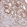Anti-BPNT1 Antibody