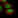 Anti-SUSD1 Antibody