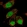 Anti-XAB2 Antibody