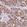 Anti-DET1 Antibody