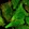 Anti-DET1 Antibody