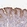 Anti-ABHD17C Antibody