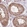 Anti-EMC1 Antibody