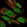 Anti-RBBP9 Antibody