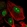 Anti-RBBP5 Antibody