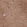 Anti-DPYSL4 Antibody