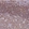Anti-CNN2 Antibody