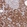 Anti-ZNF510 Antibody