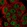 Anti-ARRB1 Antibody