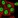 Anti-RCOR1 Antibody