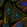 Anti-UTP20 Antibody