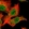 Anti-SLX4 Antibody