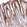 Anti-MIDN Antibody