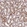 Anti-SLC25A42 Antibody