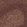 Anti-RAVER1 Antibody