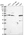 Anti-IRF2BP1 Antibody