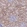 Anti-EMC8 Antibody