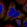 Anti-EMC8 Antibody