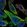 Anti-TCTEX1D2 Antibody