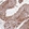 Anti-RNF19B Antibody