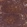 Anti-RNF19B Antibody