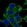 Anti-SYNPO2 Antibody